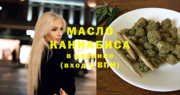 молекула духа Вяземский